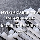 Nylon Cable Ties Escape Magic